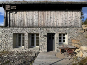 Modern apartment with ski in out in Hafjell